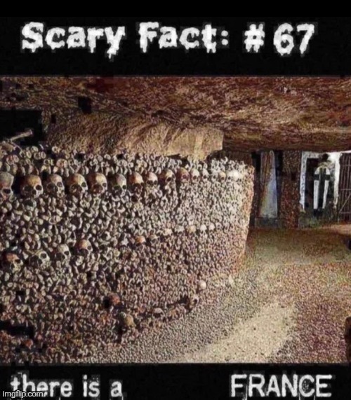 Fr*nce | image tagged in there is a france | made w/ Imgflip meme maker