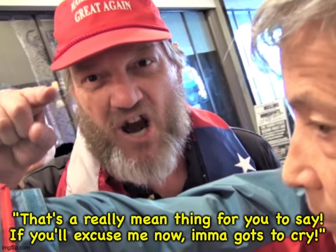 Angry Trump Supporter | "That's a really mean thing for you to say!
If you'll excuse me now, imma gots to cry!" | image tagged in angry trump supporter | made w/ Imgflip meme maker