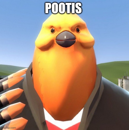 Pootis | POOTIS | image tagged in pootis bird | made w/ Imgflip meme maker