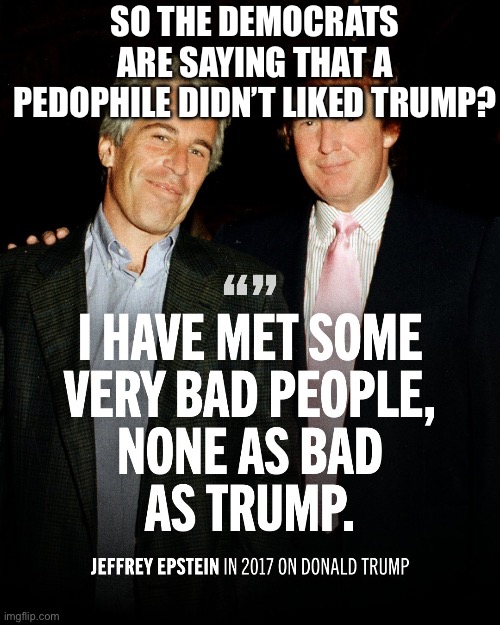 SO THE DEMOCRATS ARE SAYING THAT A PEDOPHILE DIDN’T LIKED TRUMP? | image tagged in donald trump,jeffrey epstein,politics,political meme,president trump | made w/ Imgflip meme maker