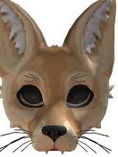 Fox mask! Blank Meme Template