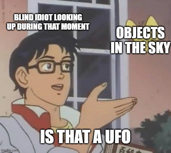 Is This A Pigeon Meme | BLIND IDIOT LOOKING UP DURING THAT MOMENT OBJECTS IN THE SKY IS THAT A UFO | image tagged in memes,is this a pigeon | made w/ Imgflip meme maker