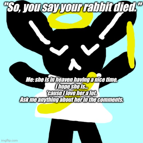 I MISS YOU VIVI | "So, you say your rabbit died."; Me: she is in heaven having a nice time.
I hope she is...
'cause I love her a lot.

Ask me anything about her in the comments. | image tagged in died,sad | made w/ Imgflip meme maker