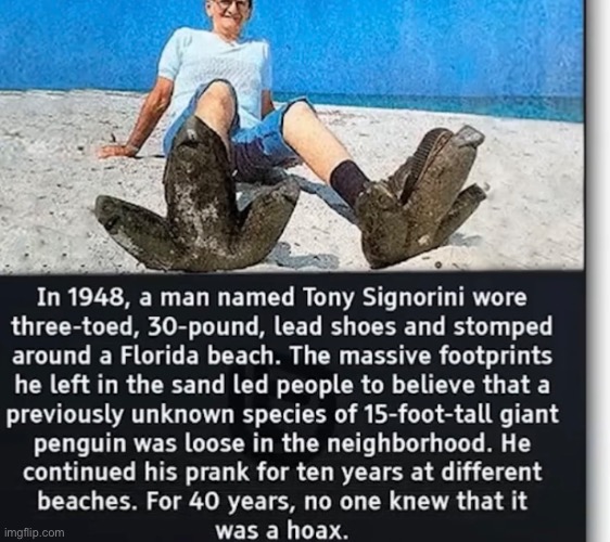 Peak | made w/ Imgflip meme maker