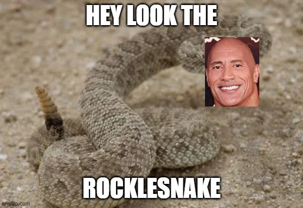 ROCKLESNAKE | HEY LOOK THE; ROCKLESNAKE | image tagged in rocklesnake | made w/ Imgflip meme maker