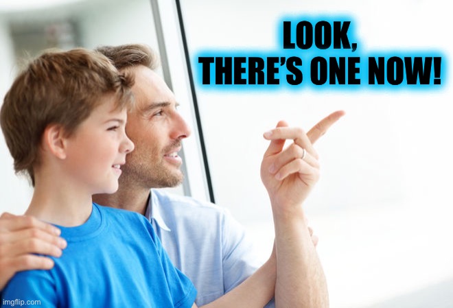 Look Son Millennial | LOOK, THERE’S ONE NOW! | image tagged in look son millennial | made w/ Imgflip meme maker