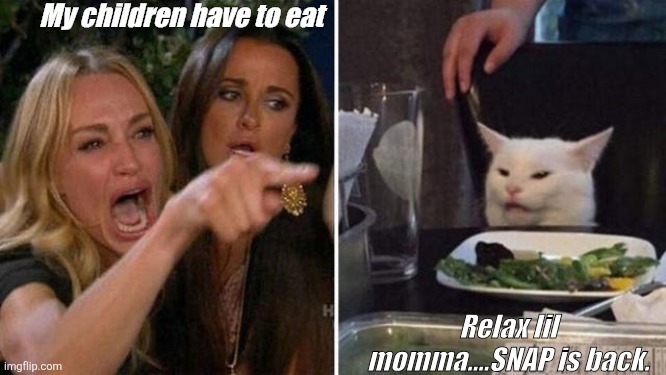 Aw Snap | My children have to eat; Relax lil momma....SNAP is back. | image tagged in food stamps | made w/ Imgflip meme maker