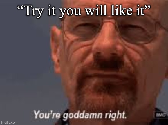 youre goddamn right | “Try it you will like it” | image tagged in youre goddamn right | made w/ Imgflip meme maker