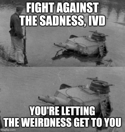 Panzer of the lake | FIGHT AGAINST THE SADNESS, IVD; YOU'RE LETTING THE WEIRDNESS GET TO YOU | image tagged in panzer of the lake | made w/ Imgflip meme maker