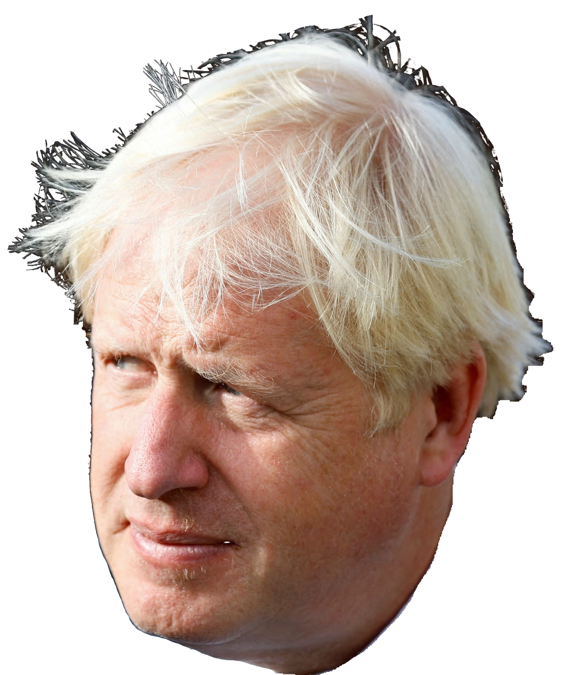 boris johnson Blank Meme Template