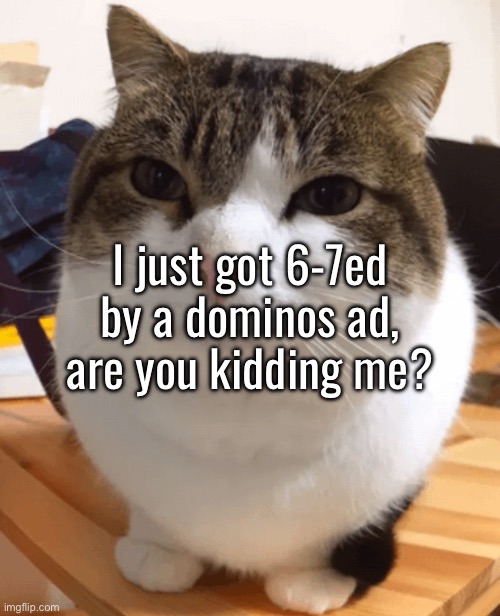 6-7 and it’s consequences | I just got 6-7ed by a dominos ad, are you kidding me? | image tagged in oh the misery original | made w/ Imgflip meme maker