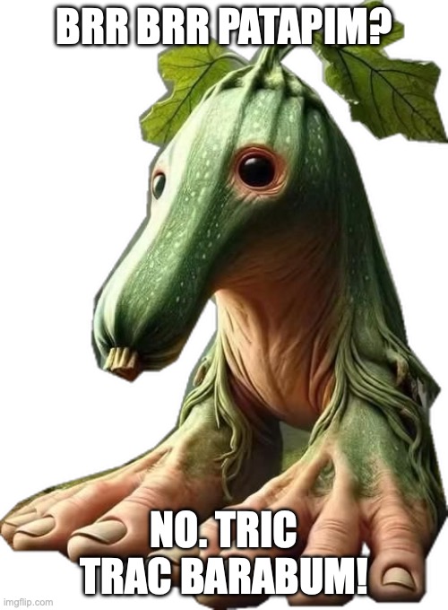 Tric Trac Barabum | BRR BRR PATAPIM? NO. TRIC TRAC BARABUM! | image tagged in tric trac barabum | made w/ Imgflip meme maker