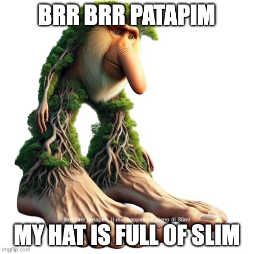 Brr Brr Patapim | BRR BRR PATAPIM; MY HAT IS FULL OF SLIM | image tagged in brr brr patapim | made w/ Imgflip meme maker