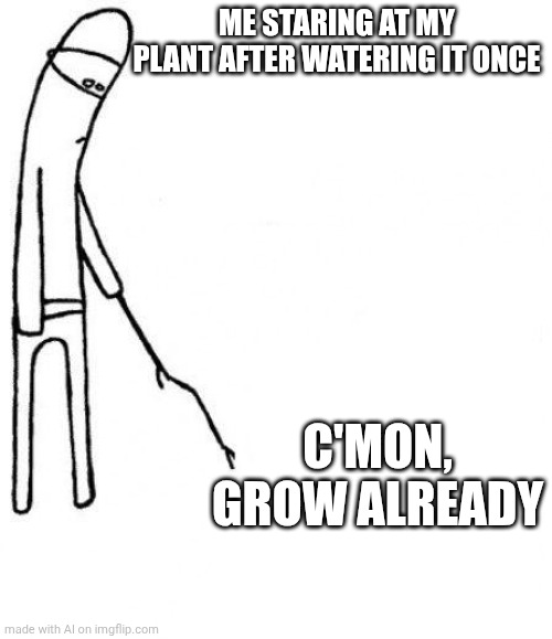 Nothing better to do. | ME STARING AT MY PLANT AFTER WATERING IT ONCE; C'MON, GROW ALREADY | image tagged in c'mon do something,plants | made w/ Imgflip meme maker