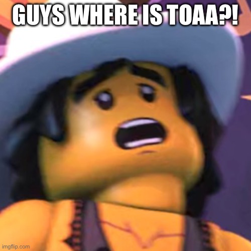 Cole | GUYS WHERE IS TOAA?! | image tagged in cole | made w/ Imgflip meme maker