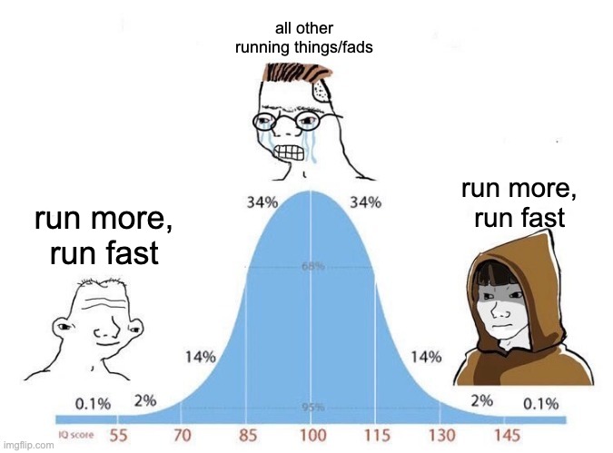 Bell Curve | all other running things/fads; run more, run fast; run more, run fast | image tagged in bell curve | made w/ Imgflip meme maker
