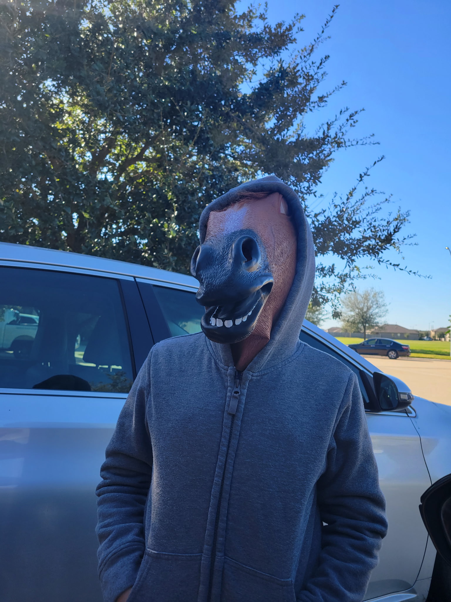 Neigh Blank Meme Template