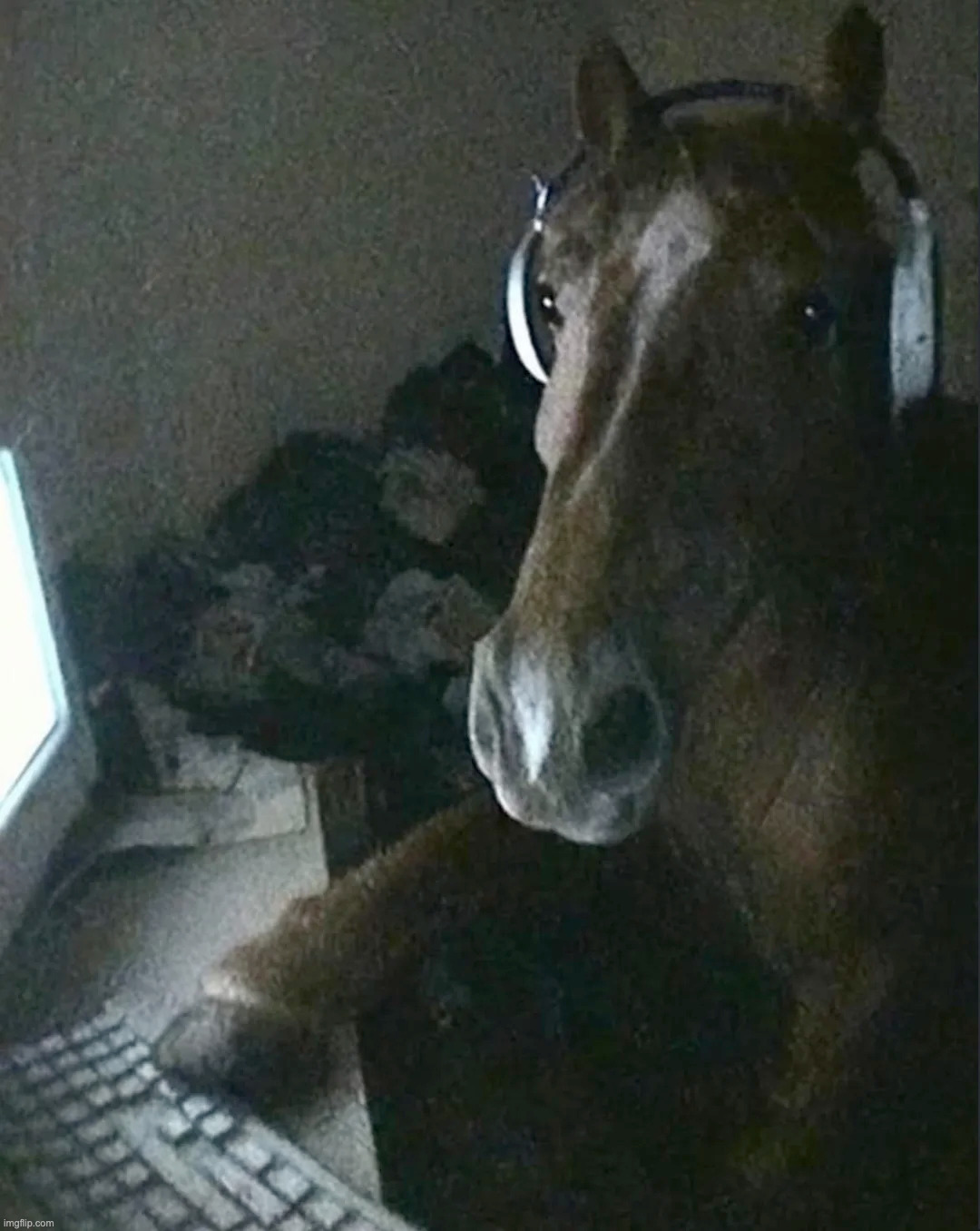 Face reveal | made w/ Imgflip meme maker