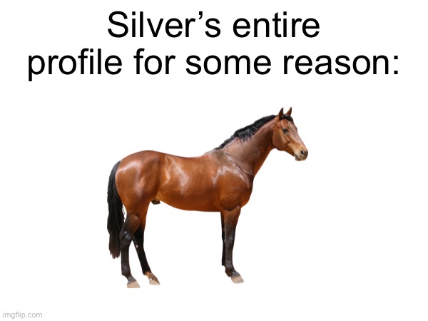 Horse | Silver’s entire profile for some reason: | made w/ Imgflip meme maker