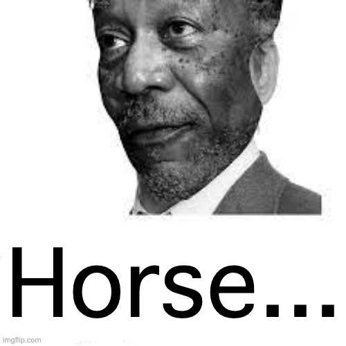 Morgan Freeman True | Horse... | image tagged in morgan freeman true | made w/ Imgflip meme maker