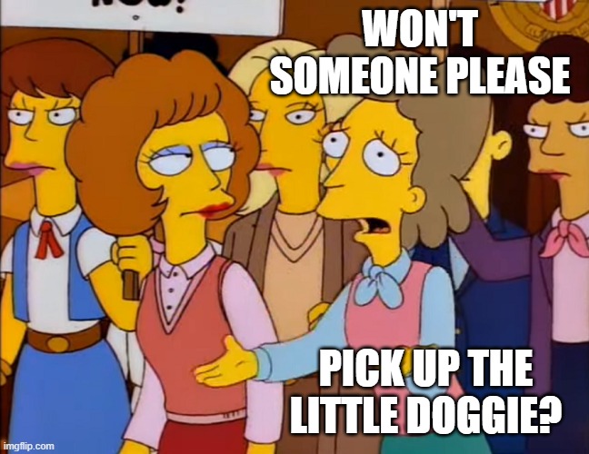 Helen Lovejoy - Won't someone PLEASE think of the children? | WON'T SOMEONE PLEASE PICK UP THE LITTLE DOGGIE? | image tagged in helen lovejoy - won't someone please think of the children | made w/ Imgflip meme maker