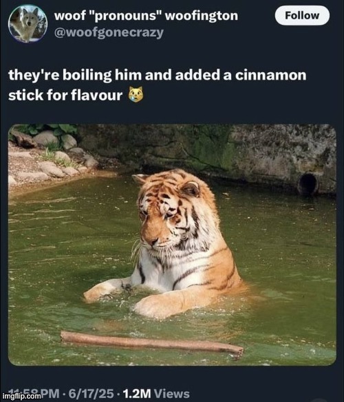 Added a cinnamon stick for good measure. | image tagged in memes,tiger,funny,flavor,cinnamon,delicious | made w/ Imgflip meme maker