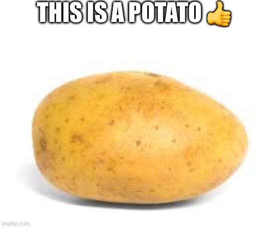 Potato | THIS IS A POTATO 👍 | image tagged in potato | made w/ Imgflip meme maker