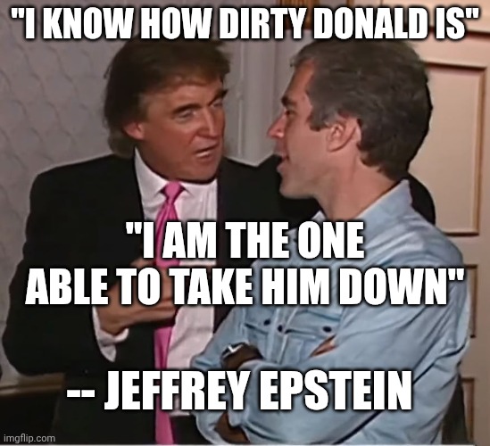 No wonder he "hung himself" (via his emails with Ghislaine) | "I KNOW HOW DIRTY DONALD IS"; "I AM THE ONE ABLE TO TAKE HIM DOWN"; -- JEFFREY EPSTEIN | image tagged in trump epstein party,donald trump,jeffrey epstein,pedophiles,maga | made w/ Imgflip meme maker