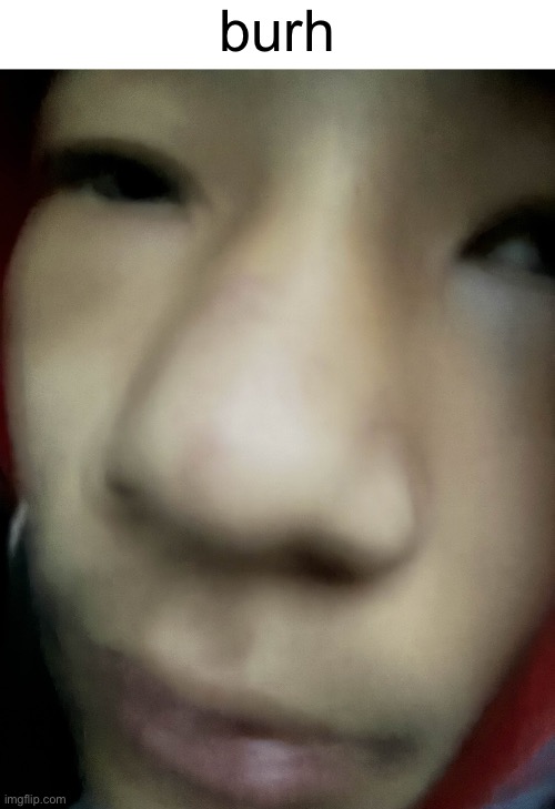 burh | burh | image tagged in bruh | made w/ Imgflip meme maker