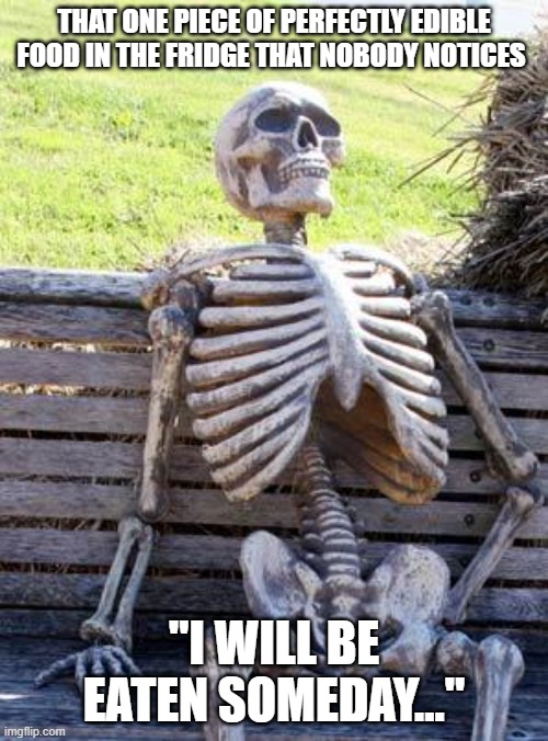 Any of yall have a piece of good food in the fridge that for some reason you never eat? | THAT ONE PIECE OF PERFECTLY EDIBLE FOOD IN THE FRIDGE THAT NOBODY NOTICES; "I WILL BE EATEN SOMEDAY..." | image tagged in memes,waiting skeleton,food memes,so true | made w/ Imgflip meme maker
