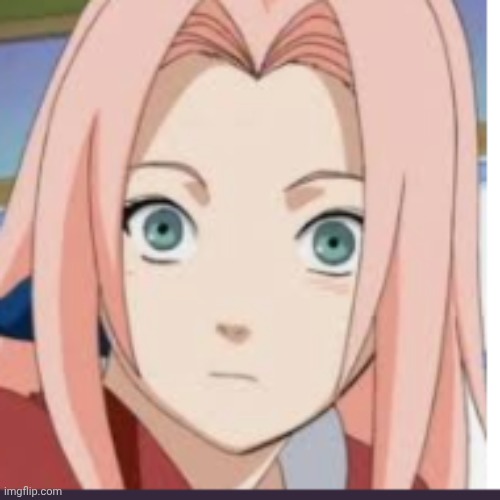 Sakura be thin? | image tagged in sakura be thin | made w/ Imgflip meme maker