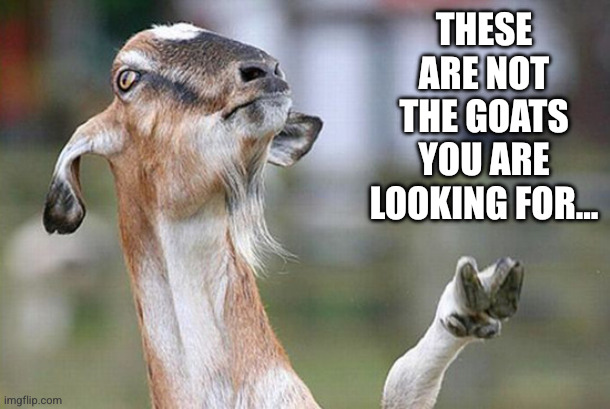 Goat influencers | THESE ARE NOT THE GOATS YOU ARE LOOKING FOR... | image tagged in billy goat no thanks,memes,these aren't the droids you were looking for,star wars,goats,jedi mind trick | made w/ Imgflip meme maker
