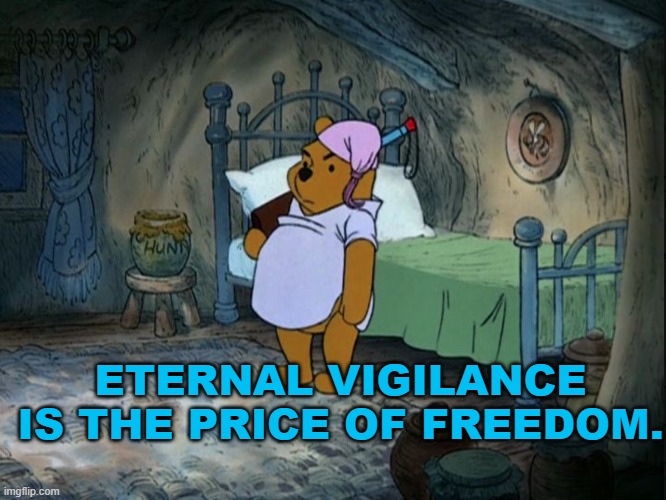 Eternal vigilance is the price of freedom | ETERNAL VIGILANCE IS THE PRICE OF FREEDOM. | image tagged in vigilant winnie-the-pooh,vigilance,freedom | made w/ Imgflip meme maker