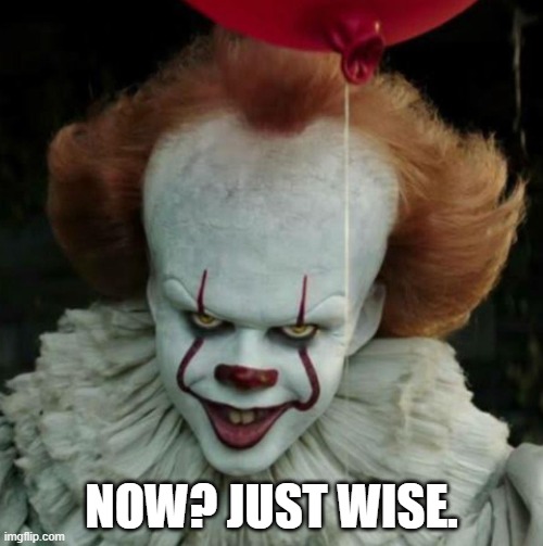 Just Wise | NOW? JUST WISE. | image tagged in just wise | made w/ Imgflip meme maker