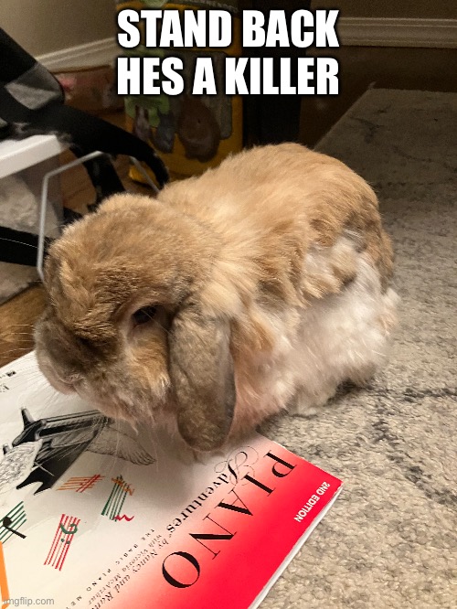 STAND BACK HES A KILLER | made w/ Imgflip meme maker