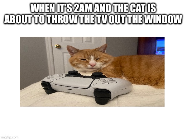 Cat | WHEN IT’S 2AM AND THE CAT IS ABOUT TO THROW THE TV OUT THE WINDOW | image tagged in grumpy cat | made w/ Imgflip meme maker