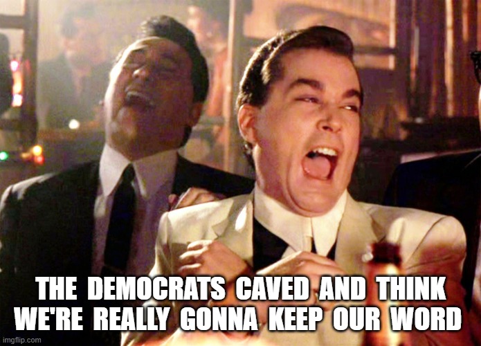 Democrats! | THE  DEMOCRATS  CAVED  AND  THINK  WE'RE  REALLY  GONNA  KEEP  OUR  WORD | image tagged in memes,good fellas hilarious | made w/ Imgflip meme maker