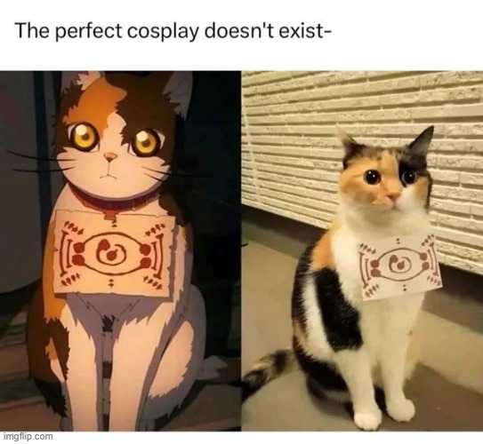 The perfect cosplay doesnt exis- | image tagged in memes,funny,anime,anime memes,demon slayer,cosplay | made w/ Imgflip meme maker