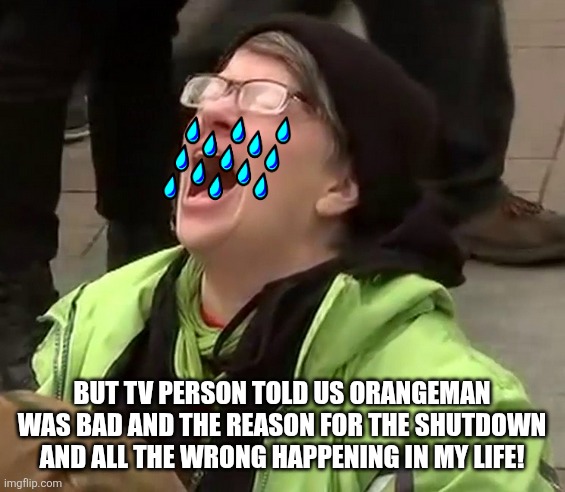 Crying liberal | BUT TV PERSON TOLD US ORANGEMAN WAS BAD AND THE REASON FOR THE SHUTDOWN AND ALL THE WRONG HAPPENING IN MY LIFE! | image tagged in crying liberal | made w/ Imgflip meme maker