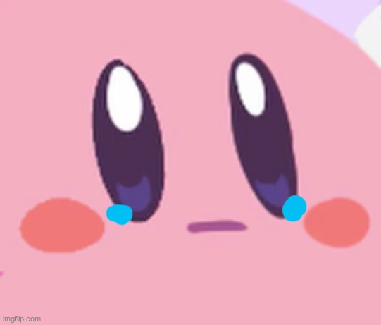 Blank Kirby Face | image tagged in blank kirby face | made w/ Imgflip meme maker