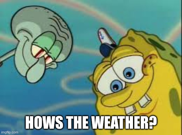 Spongebob and Squidward Looking Down | HOWS THE WEATHER? | image tagged in spongebob and squidward looking down | made w/ Imgflip meme maker