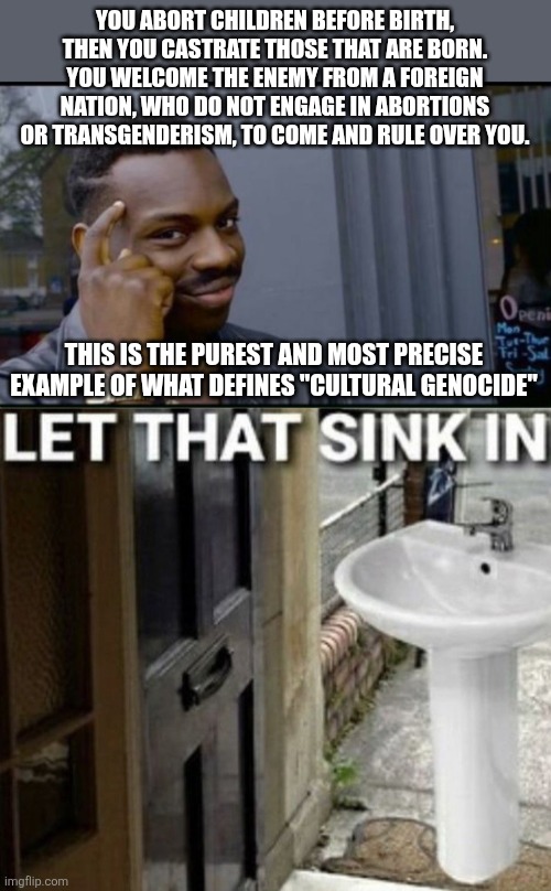 YOU ABORT CHILDREN BEFORE BIRTH, THEN YOU CASTRATE THOSE THAT ARE BORN. YOU WELCOME THE ENEMY FROM A FOREIGN NATION, WHO DO NOT ENGAGE IN ABORTIONS OR TRANSGENDERISM, TO COME AND RULE OVER YOU. THIS IS THE PUREST AND MOST PRECISE EXAMPLE OF WHAT DEFINES "CULTURAL GENOCIDE" | image tagged in thinking black man,let that sink in | made w/ Imgflip meme maker