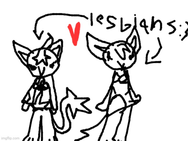 check out my OCs ODo (the one on the left is Starii [the cat], the one on the right is Sunox [the fox]) | made w/ Imgflip meme maker