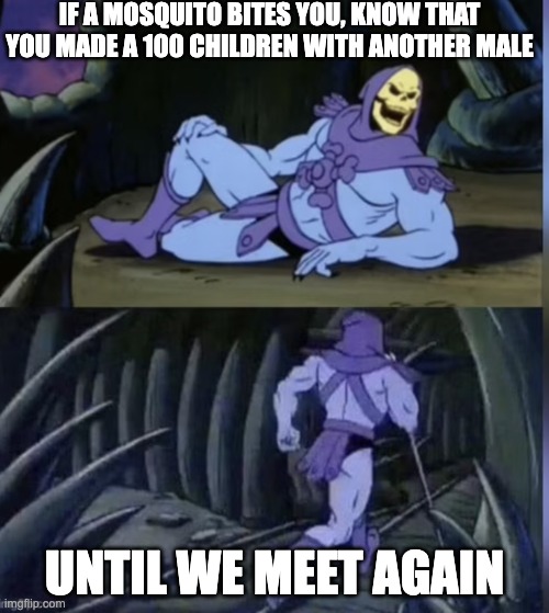 your statistically gay | IF A MOSQUITO BITES YOU, KNOW THAT YOU MADE A 100 CHILDREN WITH ANOTHER MALE; UNTIL WE MEET AGAIN | image tagged in skeltor facts | made w/ Imgflip meme maker