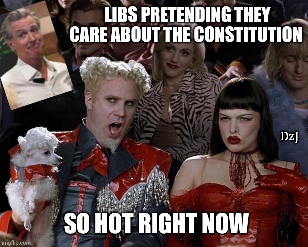 Like they could really give two craps | LIBS PRETENDING THEY CARE ABOUT THE CONSTITUTION; DzJ; SO HOT RIGHT NOW | image tagged in hansel so hot right now,lying,libtard,hypocrites,losers | made w/ Imgflip meme maker