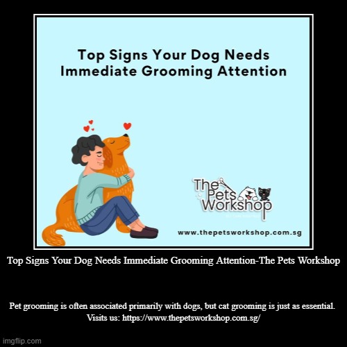 Top Signs Your Dog Needs Immediate Grooming Attention-The Pets Workshop | Pet grooming is often associated primarily with dogs, but cat groo | image tagged in funny,demotivationals | made w/ Imgflip demotivational maker