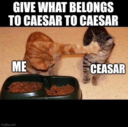 cats share food | GIVE WHAT BELONGS TO CAESAR TO CAESAR; CEASAR; ME | image tagged in cats share food | made w/ Imgflip meme maker