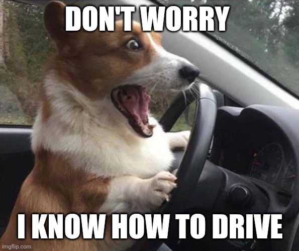 How to drive | DON'T WORRY; I KNOW HOW TO DRIVE | image tagged in dog driving,funny memes | made w/ Imgflip meme maker