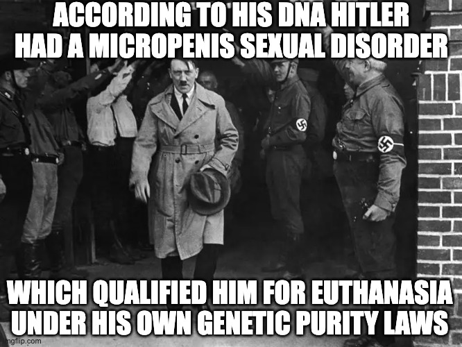 When Democratic Germany Voted in a Dictator! | ACCORDING TO HIS DNA HITLER HAD A MICROPENIS SEXUAL DISORDER; WHICH QUALIFIED HIM FOR EUTHANASIA UNDER HIS OWN GENETIC PURITY LAWS | image tagged in hitler,adolf hitler,angry hitler,dictator,dna,nazis | made w/ Imgflip meme maker