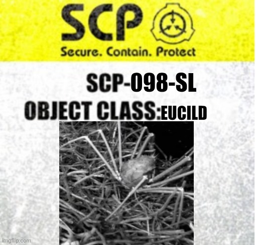 SCP-098-SL Blank Meme Template